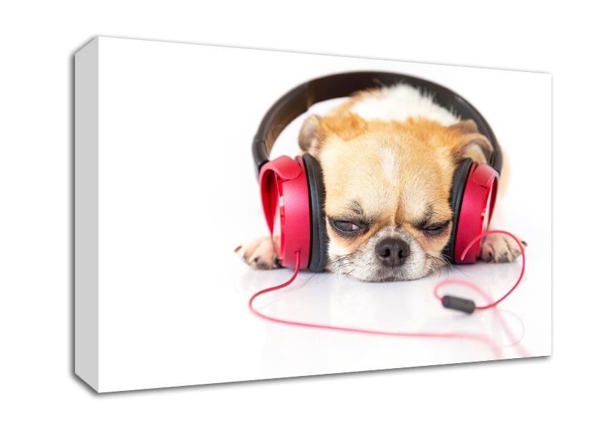 Dog listening to music relaxing Canvas Wall Art