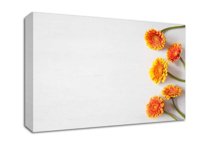 Orange Gerberas laid out Canvas Wall Art