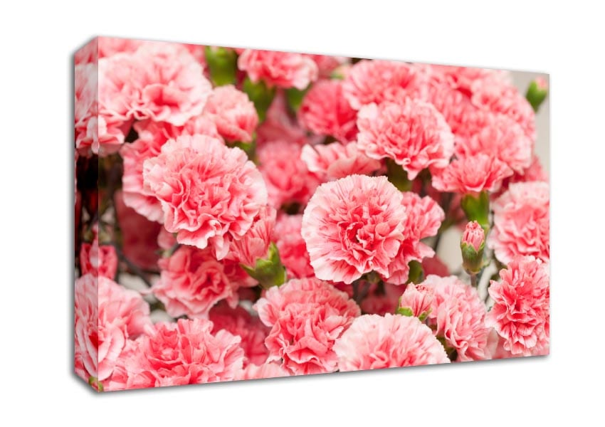 Pink floweres of plenty Canvas Wall Art