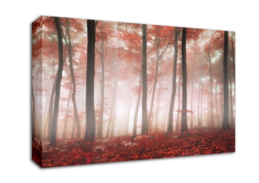 Red misty woods Canvas Wall Art