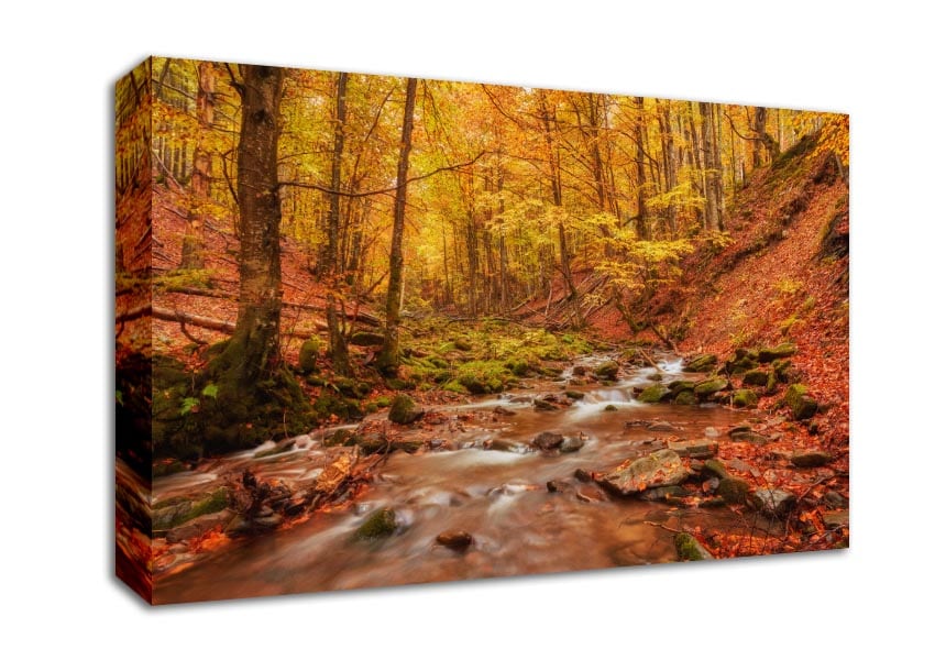 Soft trickling water through the trees Canvas Wall Art