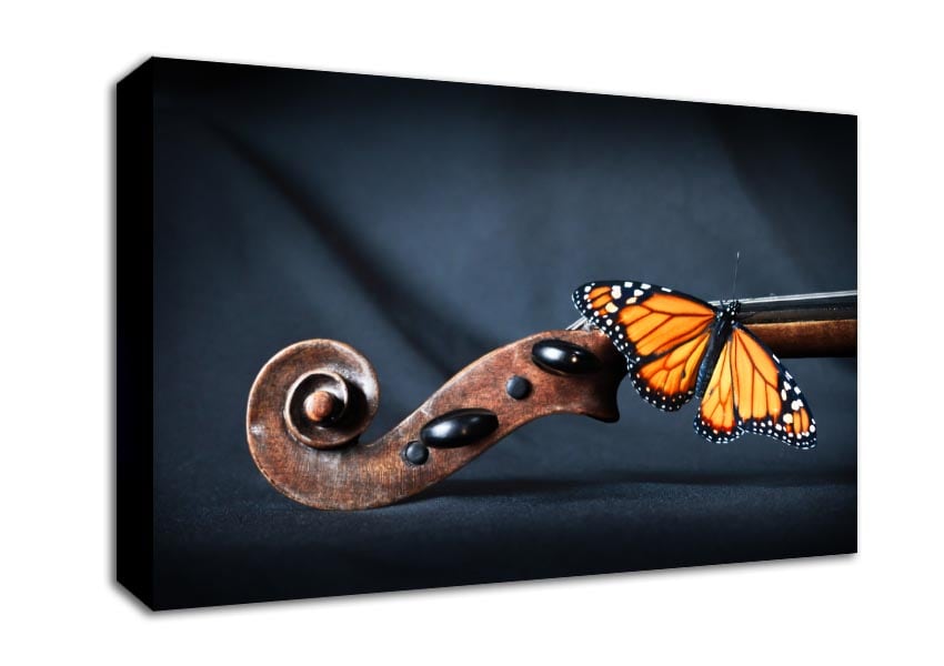 Butterfly resting on Instrument Canvas Wall Art