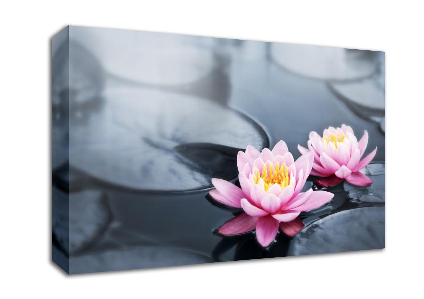 Flowers on the water floating Canvas Wall Art