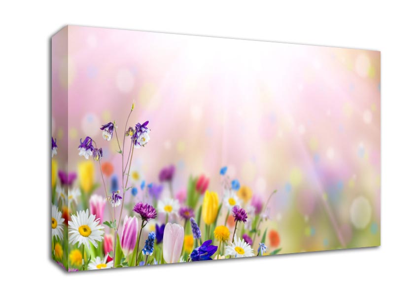 Mixed colourful flowers Canvas Wall Art
