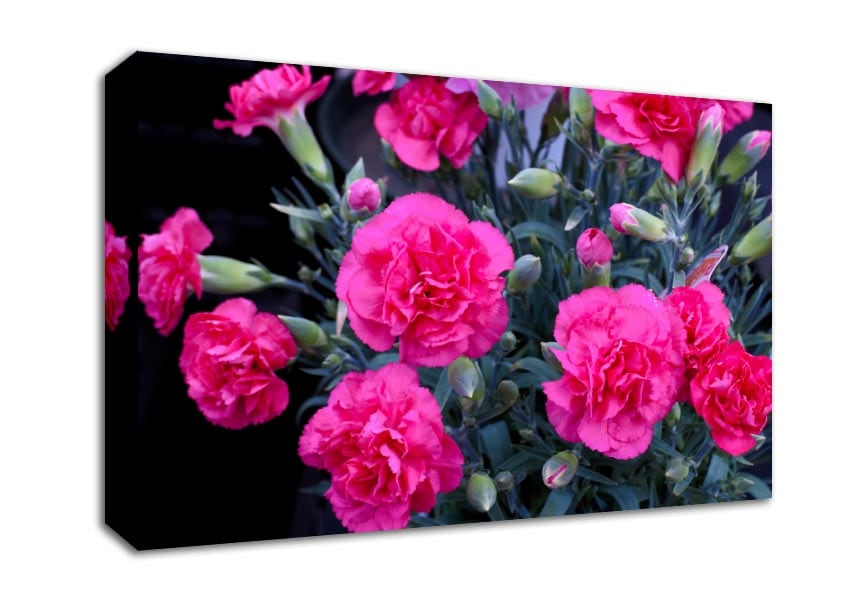 Pink flowers rising Canvas Wall Art