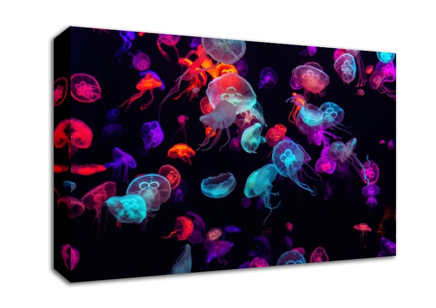 Neon Jellyfish frenzy Canvas Wall Art