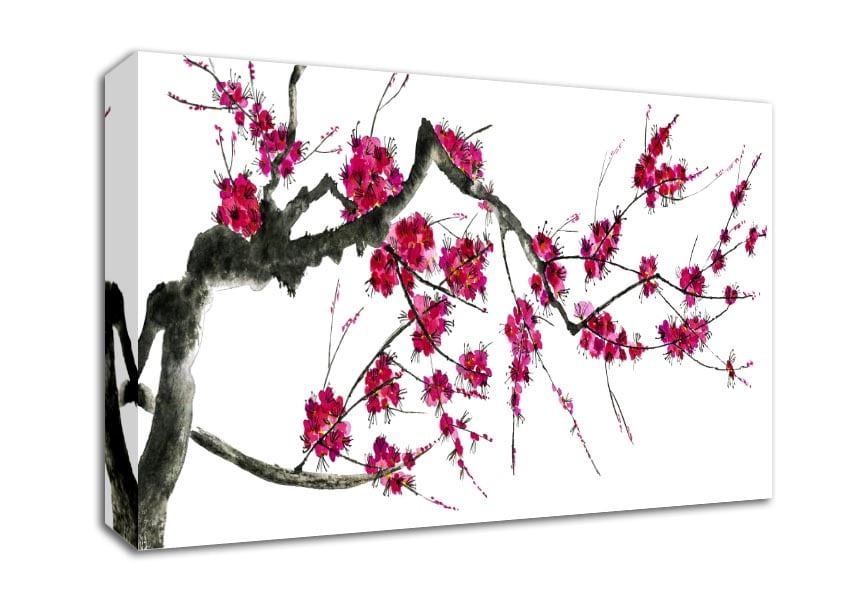 Cherry blossom illustration Canvas Wall Art