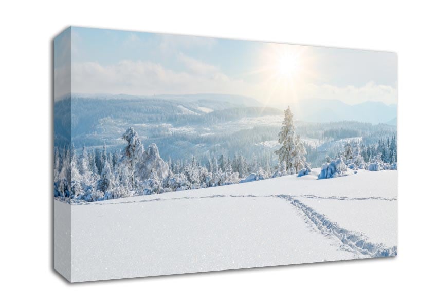 heavy snow on the plane Canvas Wall Art