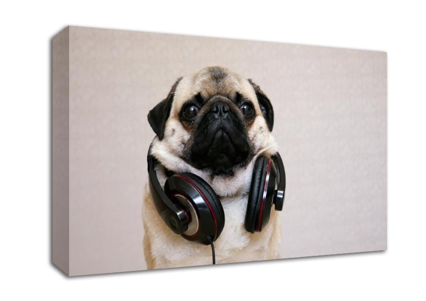 Cool pug wearing headphones Canvas Wall Art