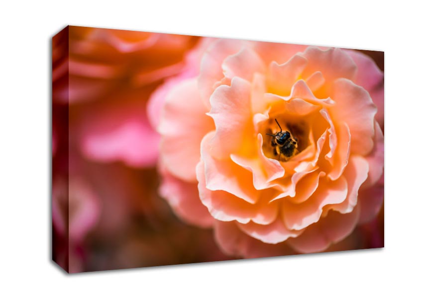 Bee chilling in a flower Canvas Wall Art