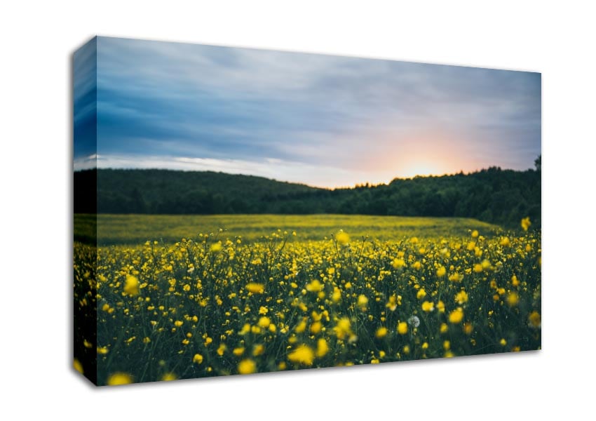 Surreal field of yellow flowers Canvas Wall Art