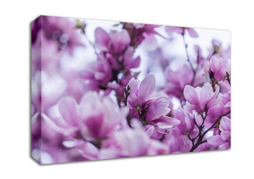 Lilac flowers striking detail Canvas Wall Art