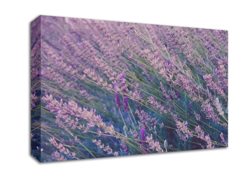 One Direction of delicate flowers Canvas Wall Art
