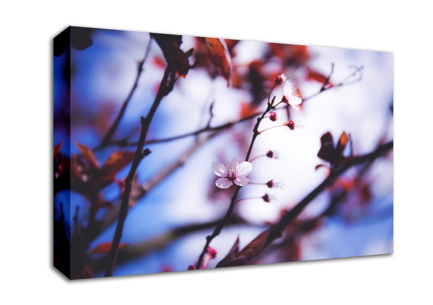 Tree blossom last standing Canvas Wall Art