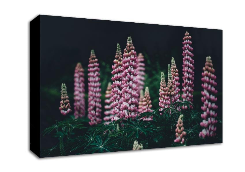 Loopins standing tall above the undergrowth Canvas Wall Art