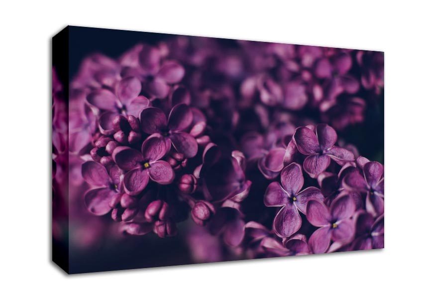 Minature purple flowers Canvas Wall Art