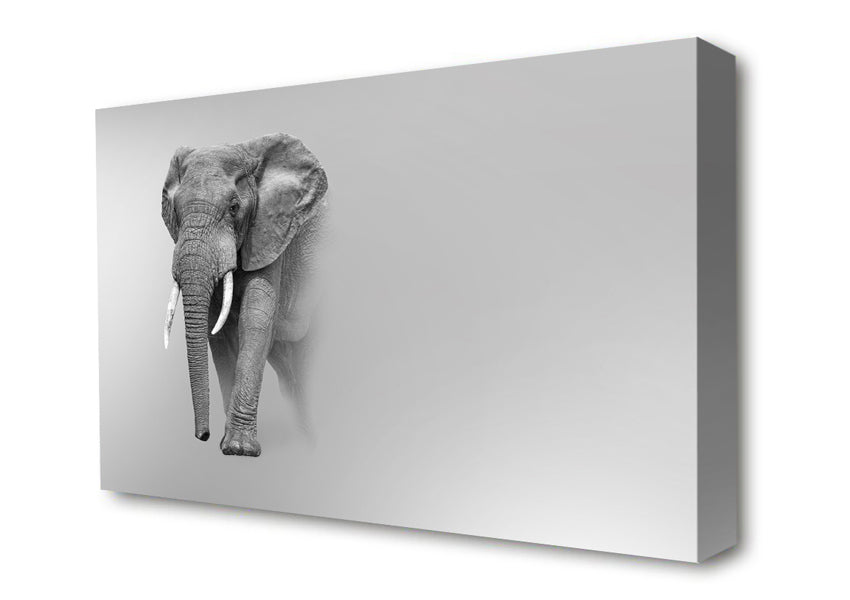 Elephant In The Mist Canvas Wall Art