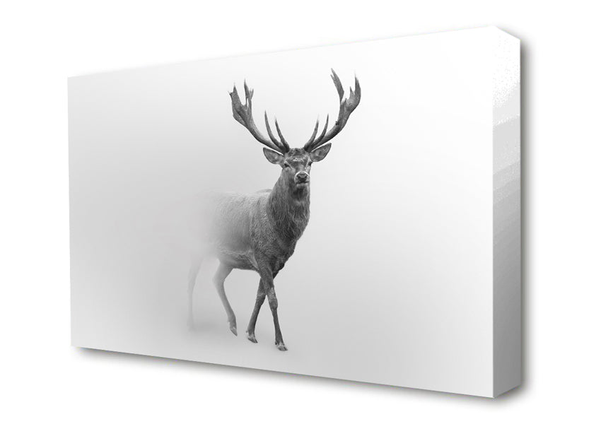 Stag In The Mist Canvas Wall Art