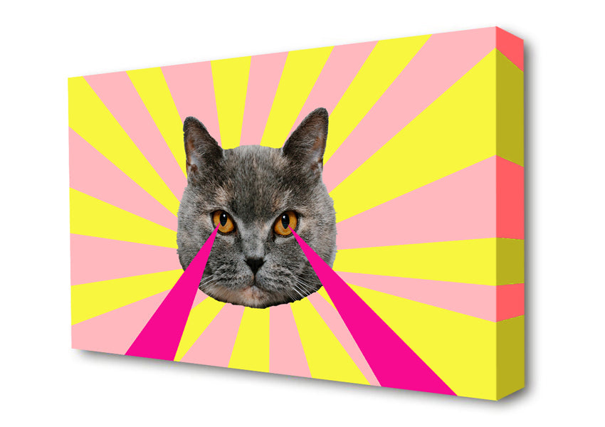 Cat Lazer Eyes Canvas Wall Art