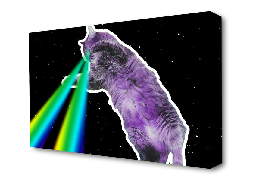 Cat Lazer Beam Space Canvas Wall Art