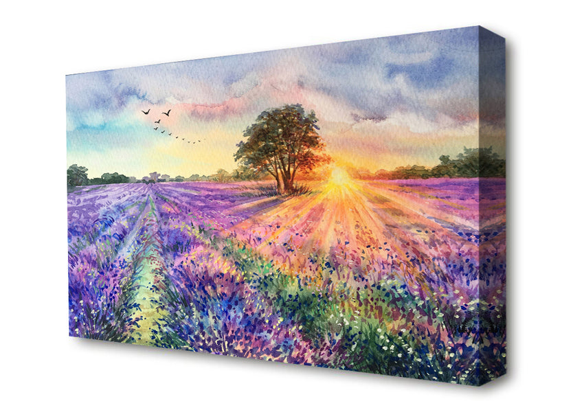 Lilac Fields Sunset Canvas Wall Art