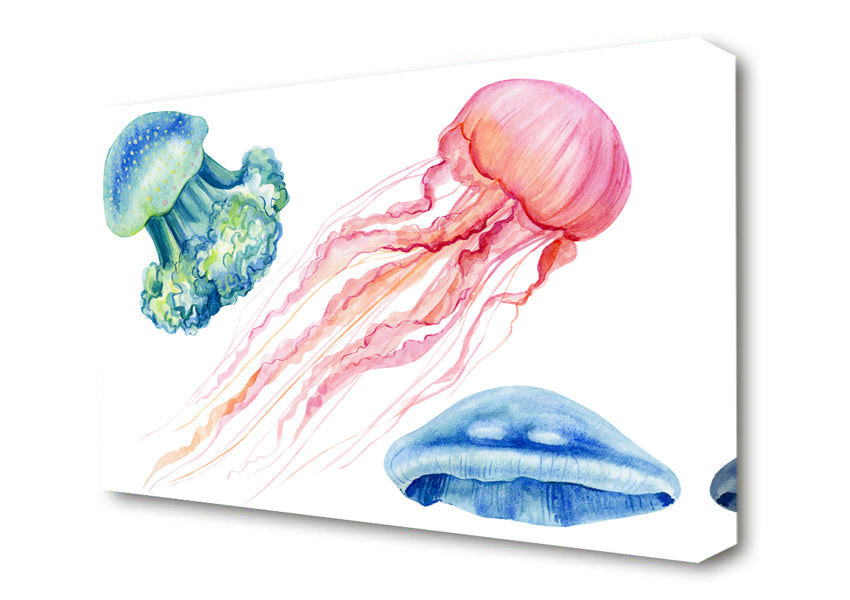 The Jellyfish Of The Sea Canvas Wall Art