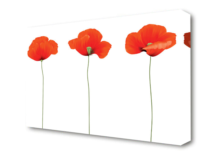 Three Poppies Standing Canvas Wall Art