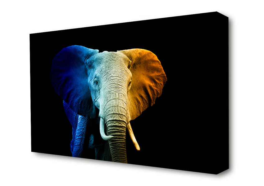 Tri Coloured Elephant Canvas Wall Art
