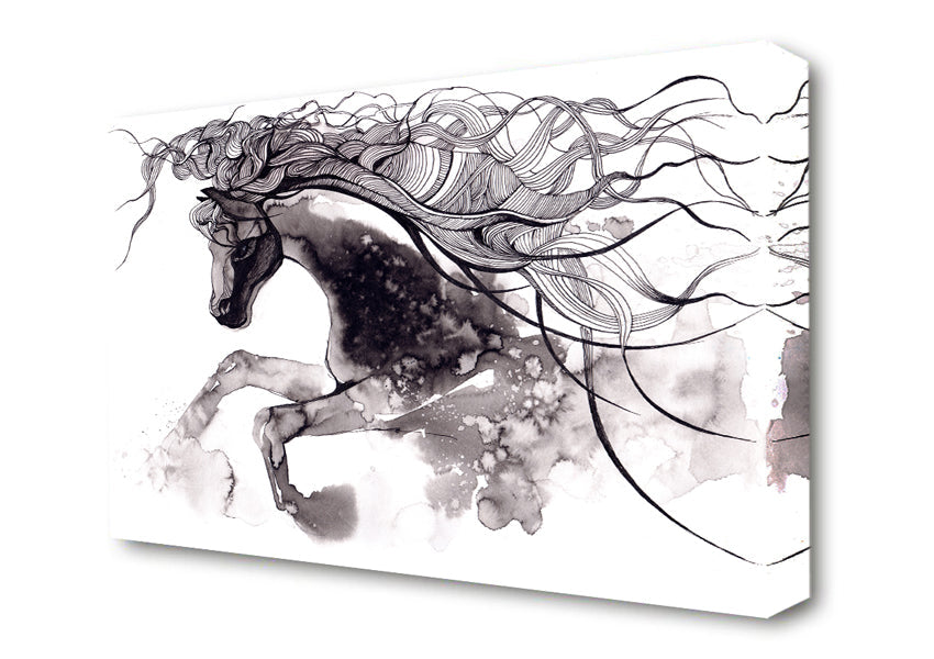 Long Haired Horse Canvas Wall Art