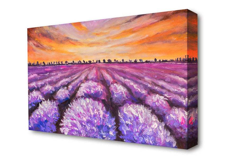 Lavender Fields Supreme Canvas Wall Art