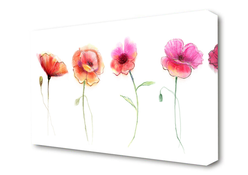 Four Pretty Flowers Canvas Wall Art