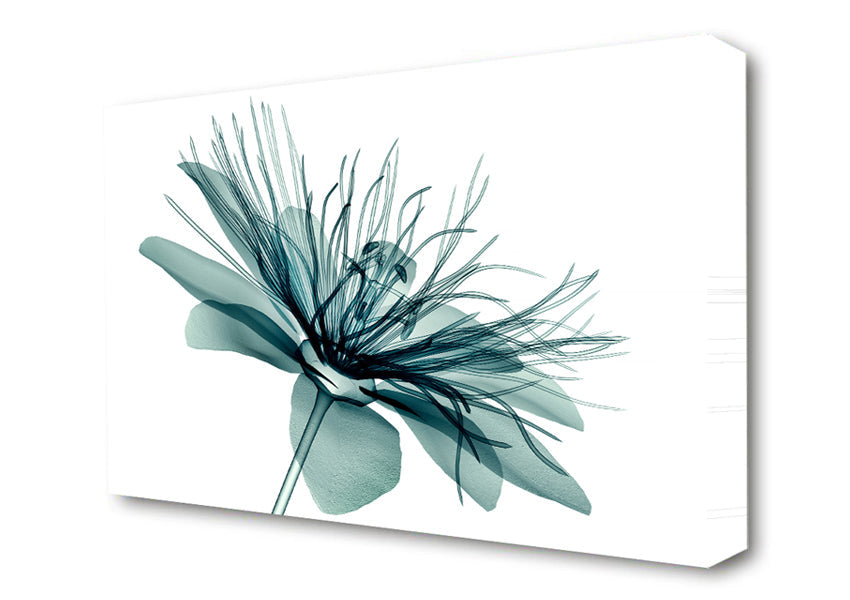 Green Flower Opens Canvas Wall Art