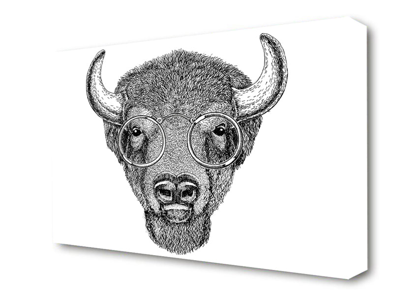 Glasses On A Bison Canvas Wall Art
