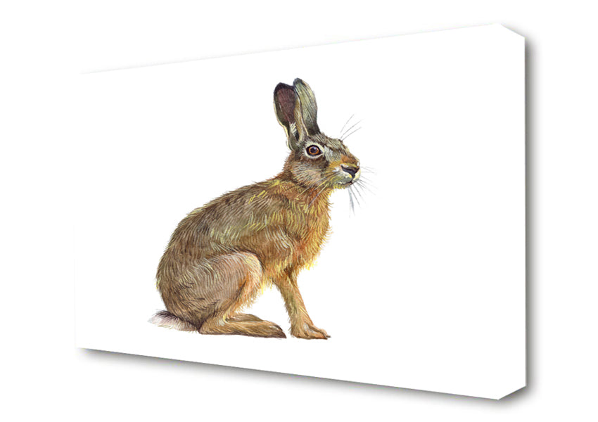 The Hare Alone Canvas Wall Art