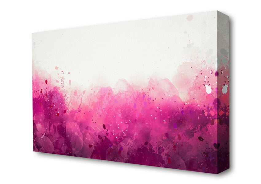 Pink Blushes Of Colour Canvas Wall Art