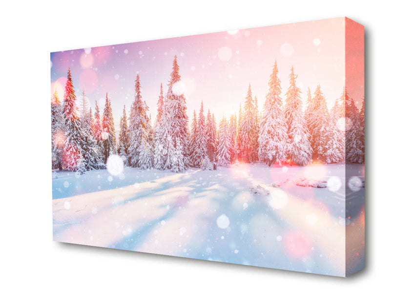Snow Storm Sunlight Canvas Wall Art