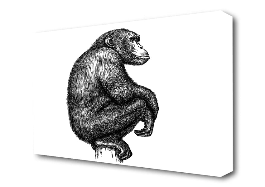 Chimpanzee Sitting Canvas Wall Art