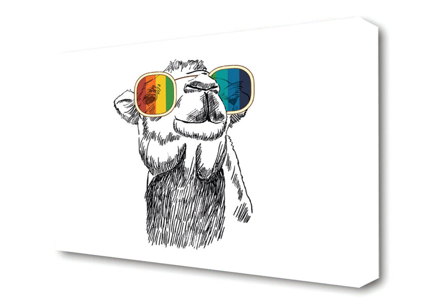 Colourful Glasses Camel Canvas Wall Art