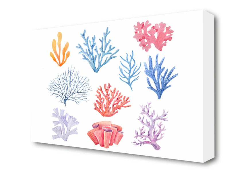 Sea Life Coral Canvas Wall Art