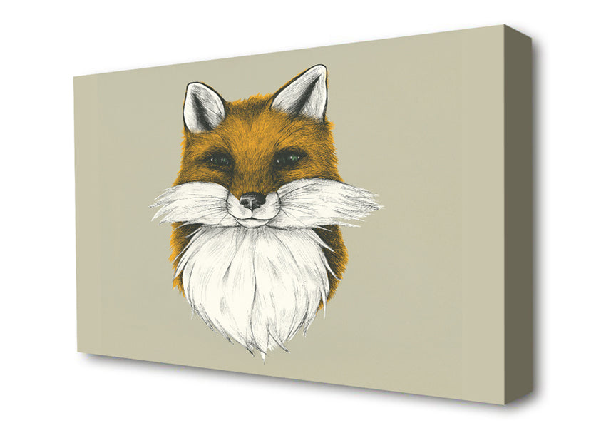 The Fox Face Canvas Wall Art