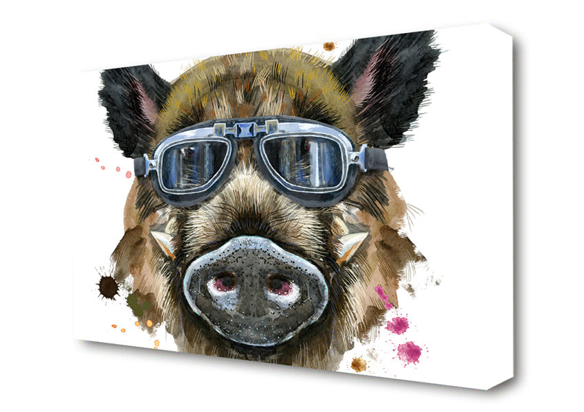 The Boar In Glasses Canvas Wall Art