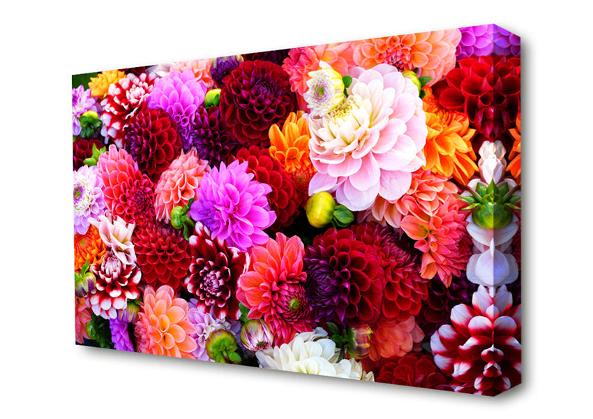 Huge Flower Explosion Canvas Wall Art