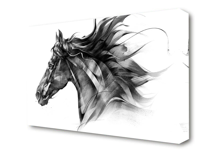 Horse Galloping Head Canvas Wall Art