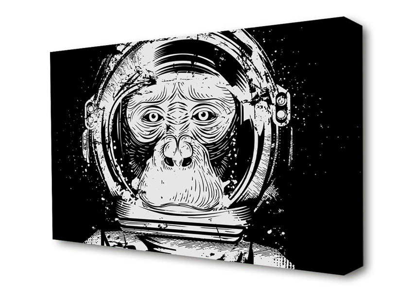 Space Monkey Canvas Wall Art