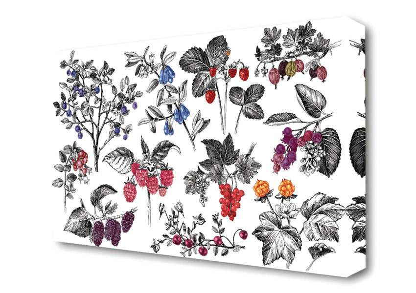 Collage Of Flowers And Berries Canvas Wall Art