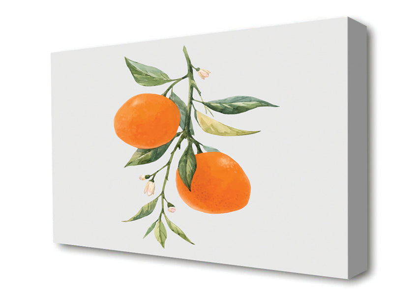 Oranges Fresh On The Branch Canvas Wall Art