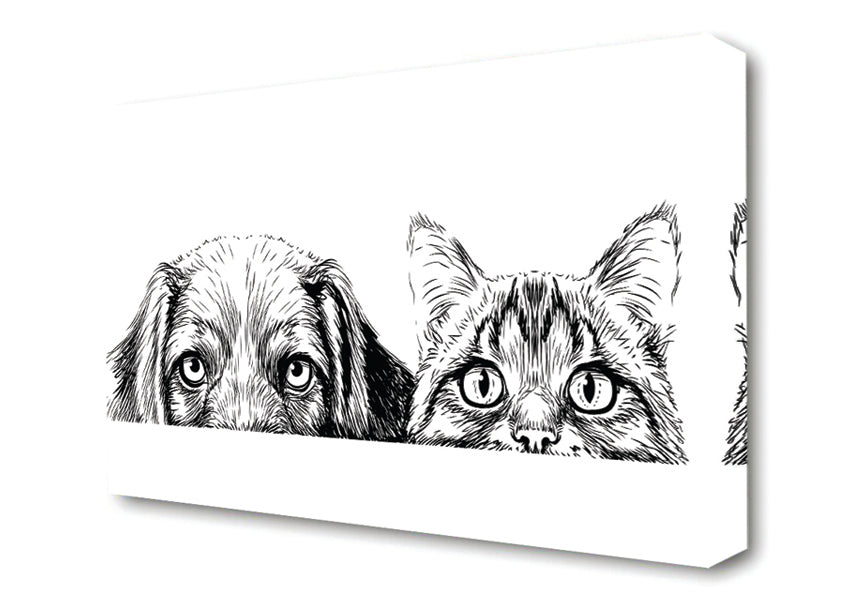 Cat And Dog Peep Canvas Wall Art