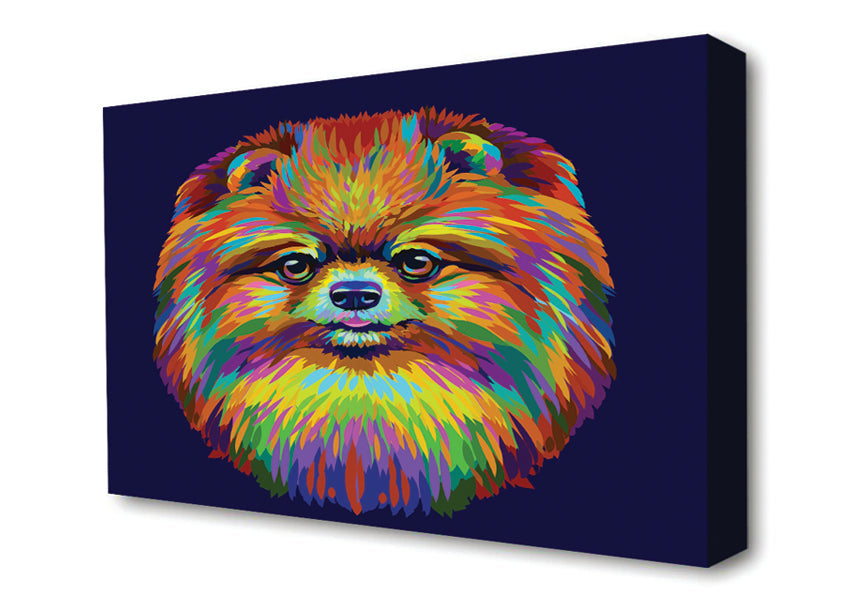 Big Fluffy Pomeranian Canvas Wall Art