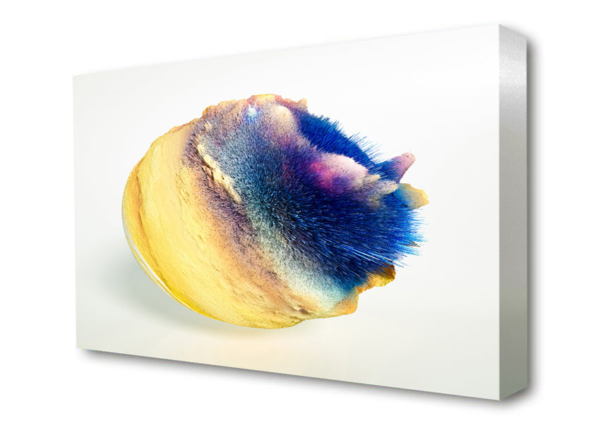 Magnesium Reaction Canvas Wall Art