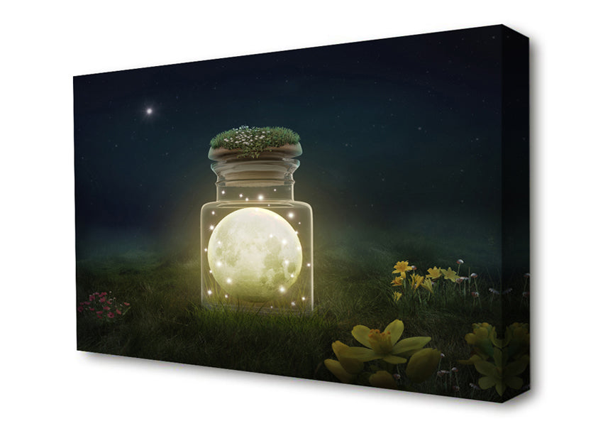 Moon In A Jar Canvas Wall Art